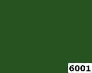 6001_l