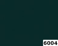 6004_l