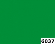6037_l