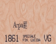 41