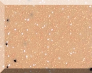 shans_518