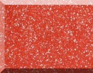 shipovnik_530